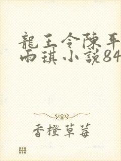 龙王令陈平,苏雨琪小说84
