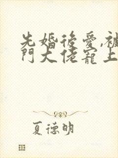先婚后爱,被豪门大佬宠上天小说最新