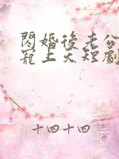 闪婚后老公把我宠上天短剧免费观看