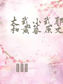 大武小武耶律齐和黄蓉原文