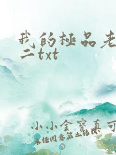 我的极品老婆小二txt 我的极品老婆小二txt