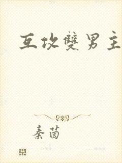 互攻双男主小说
