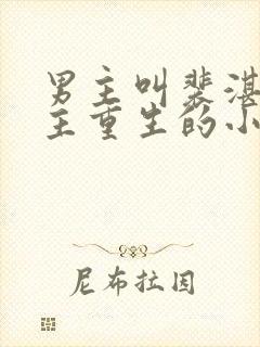 男主叫裴湛,女主重生的小说