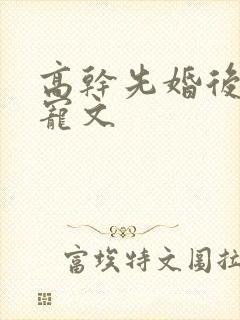 高干先婚后爱甜宠文