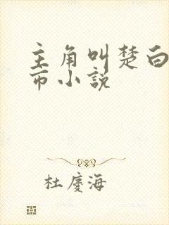 主角叫楚白的都市小说