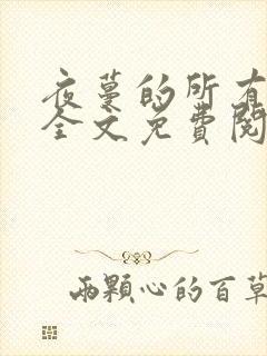 夜蔓的所有小说全文免费阅读