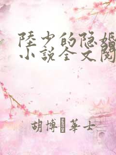 陆少的隐婚罪妻小说全文阅读