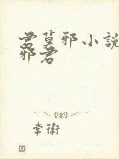 君莫邪小说异世邪君 君莫邪小说异世邪君