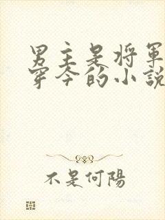 男主是将军的古穿今的小说