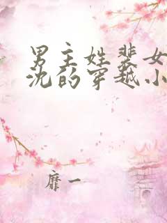 男主姓裴女主姓沈的穿越小说 男主姓裴女主姓沈的穿越小说