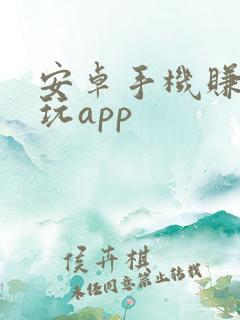 安卓手机赚钱试玩app