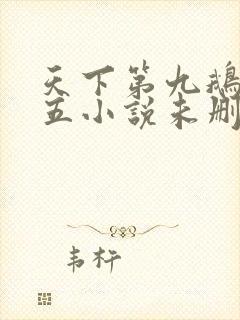 天下第九鹅是老五小说未删版下载txt