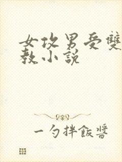 女攻男受双性调教小说