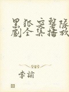 黑狐突击队电视剧全集播放