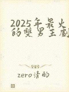 2025年最火的双男主剧