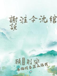 谢淮今沈绾宁小说