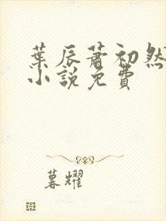 叶辰萧初然最新小说免费