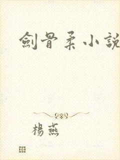 剑骨柔小说