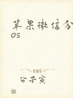苹果微信分身ios