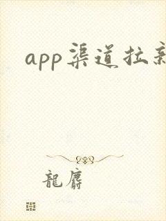 app渠道拉新