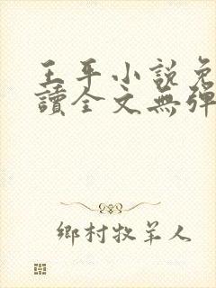 王平小说免费阅读全文无弹窗