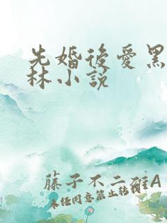 先婚后爱黑暗森林小说