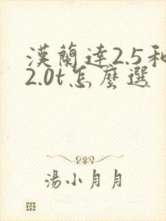 汉兰达2.5和2.0t怎么选