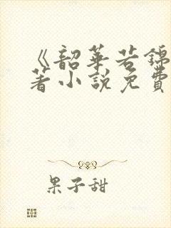 《韶华若锦》原著小说免费阅读