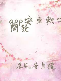 app安卓软件开发