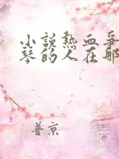 小说热血争锋抚琴的人在那里更新