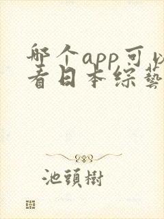 哪个app可以看日本综艺节目