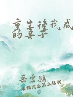 重生后我成大佬的妻子