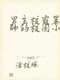 男主校霸暴戾痞帅的校园小甜文
