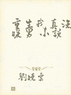 重生我真没想当暖男 小说
