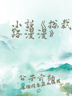 小说《总裁追妻路漫漫》