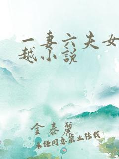 一妻六夫女主穿越小说