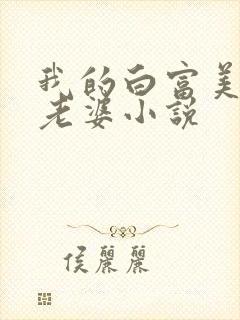 我的白富美总裁老婆小说