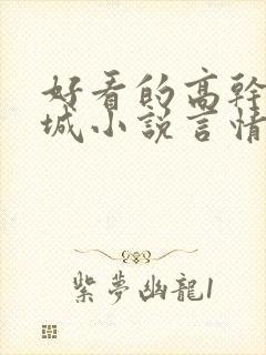 好看的高干文京城小说言情