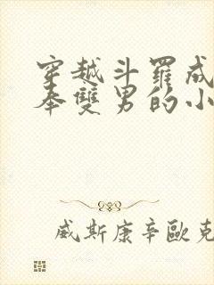 穿越斗罗成为供奉双男的小说