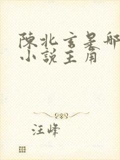 陈北玄是哪一部小说主角