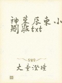 神墓辰东小说未删版txt