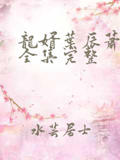 龙婿叶辰萧初然全集完整