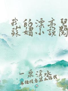 我的漂亮儿媳妇苏媚小说阅读免费