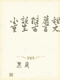 小说推荐甜宠文重生古言文