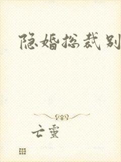 隐婚总裁别太坏
