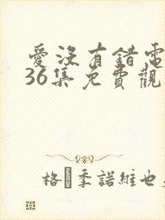 爱没有错电视剧36集免费观看剧情