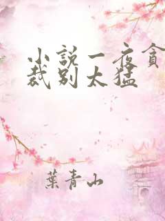 小说一夜贪欢总裁别太猛