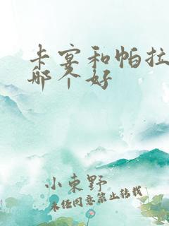 卡宴和帕拉梅拉哪个好 卡宴和帕拉梅拉哪个好