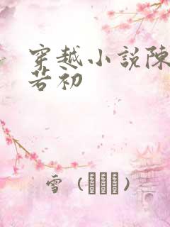 穿越小说陈凡苏若初