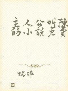 主人公叫陈天极的小说免费阅读